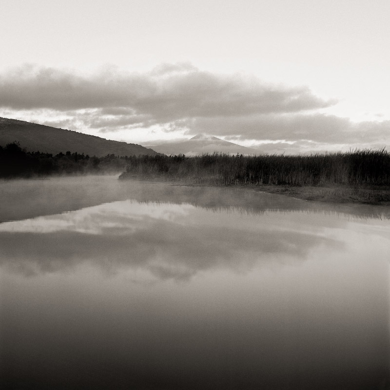 A Platinum Palladium Print