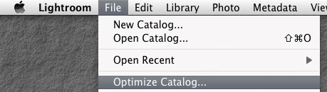 Optimize LR Catalog