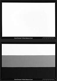 Colorcheckers White Balance and Gray Scale