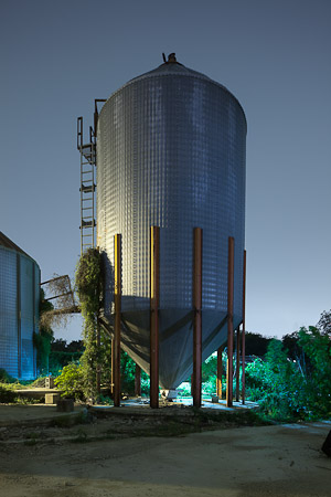 Big Tex #2